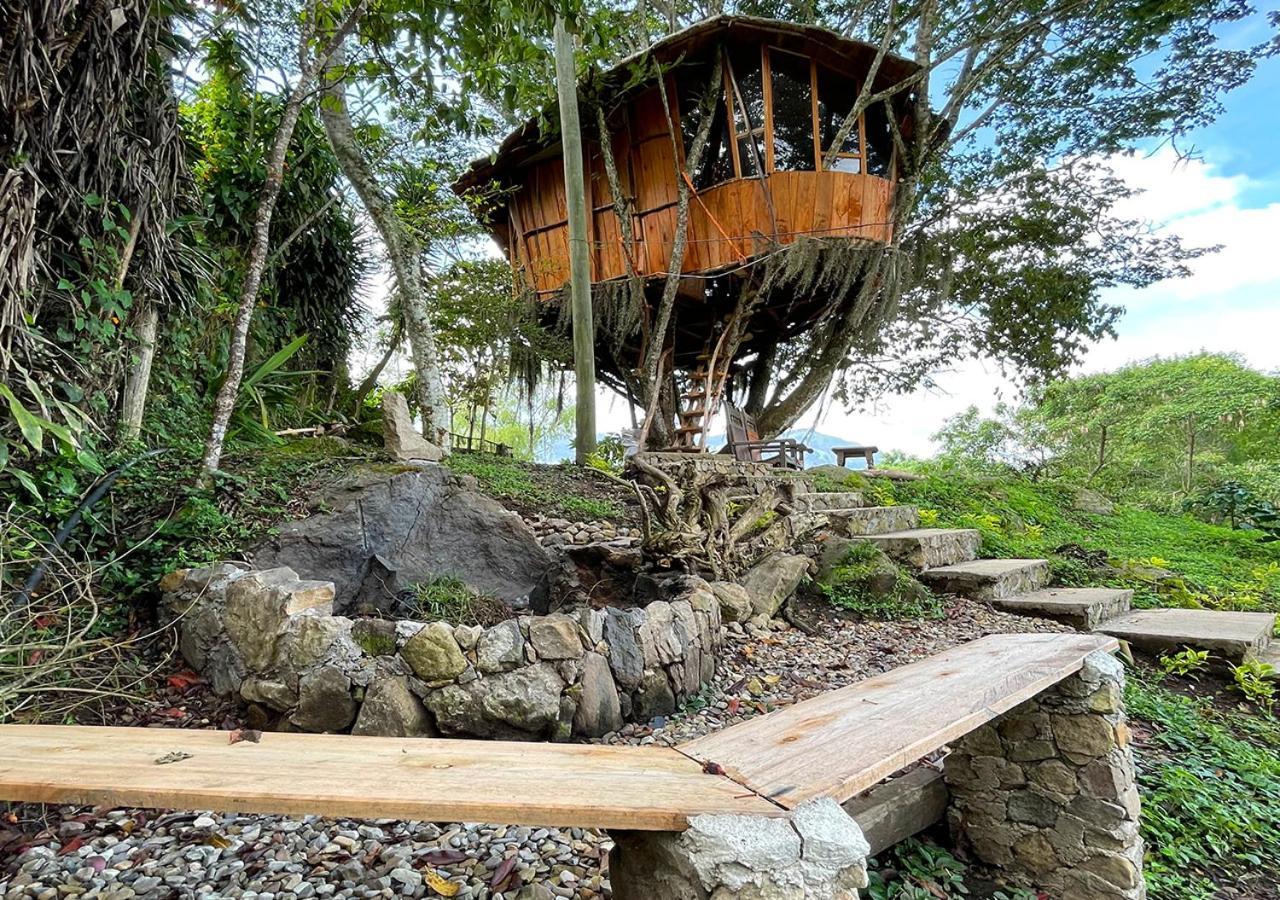 Ferienwohnung Yaque Glamping - Cabanas - San Francisco San Francisco  Exterior foto